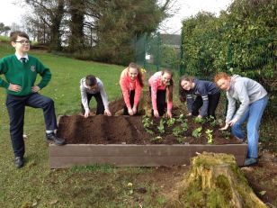 Gardening Club 