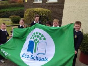 Eco Schools Flag